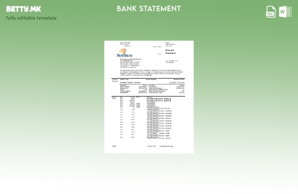 модерен стил на САД SunTrust шаблон за извод од банка